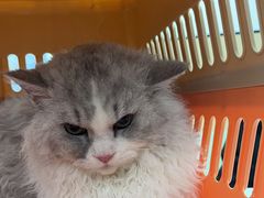 -瑞派康怡24h宠物医院·犬猫医疗中心·微创绝育(瑞景分院)