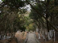 -福建泉州仙公山风景名胜区