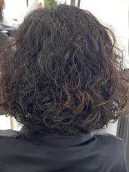 -FINE HAIR 烫染专业设计