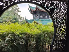 -桂湖森林公园
