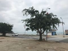 -红月湾海鲜饭店•沙滩海景(双月湾店)