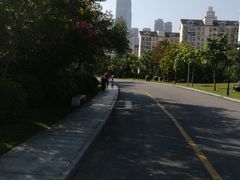 -凤岭儿童公园