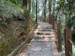 -南山植物园