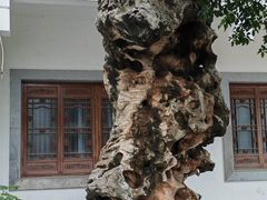 -蒋氏故居
