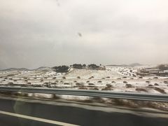 -隆盛园火勺馄饨面(兴工店)