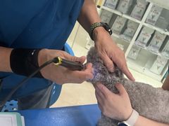 -瑞派申生动物医院·24H夜诊·国际动物医疗中心·骨外科(吴中路店)