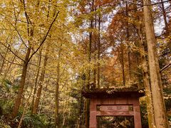 -凤栖山