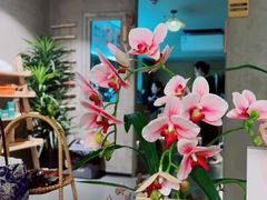 -施奈儿.洗头頭療.按摩SPA.采耳(上梅林店)