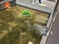 -松鹤楼(月坛店)