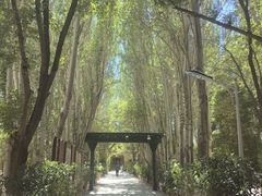 -艾提尕尔清真寺