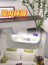 -北京丽星翼美医疗美容
