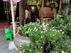 -吴越荣记苏州菜·松鼠桂鱼100%活鱼现做(斜塘老街店)