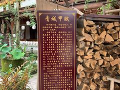 -青城甲(青城山店)