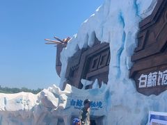 -秦皇岛乐岛海洋王国