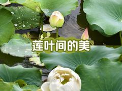 -火炉山森林公园