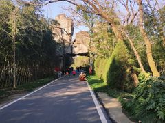 -金孔雀温泉旅游度假村