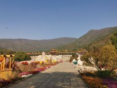 -北京十三陵国家森林公园蟒山景区