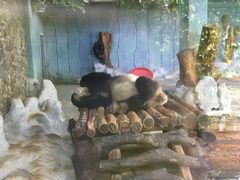-海南热带野生动植物园
