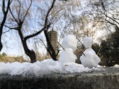 -农园餐厅(北京大学店)