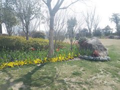 -苏州上方山国家森林公园