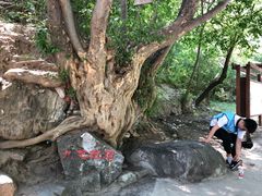 -孤山寨风景区