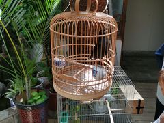 -丽江庭院·云南野生菌·海鲜火锅(鼓楼四合院店)