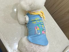-佩兹宠物医院肿瘤专科·眼科·牙科(黄浦店)