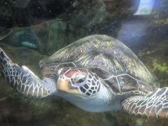 -福州罗源湾海洋世界旅游区
