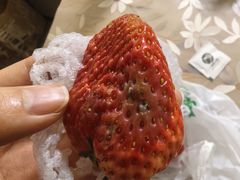 -水果地带(中航国际店)