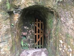 -南山植物园