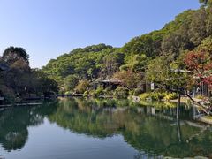 -云溪植物园