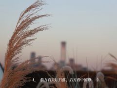 -盘龙城遗址博物院