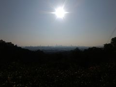 -火炉山森林公园