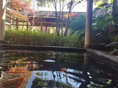 -和顺柏联温泉