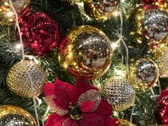 -广州富力丽思卡尔顿酒店