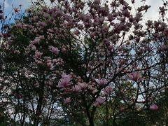 -广州市流溪河国家森林公园