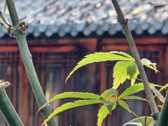 -大妙火锅·非物质文化遗产(东湖公园店)