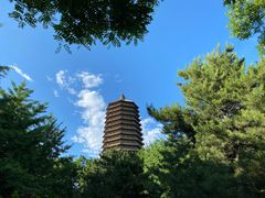 -玲珑塔公园