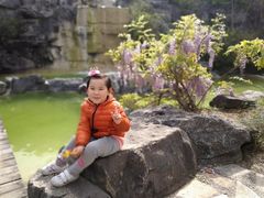 -吴淞炮台湾湿地森林公园烧烤区