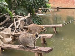 -长鹿旅游休博园