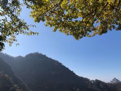 -少华山国家森林公园