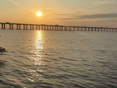 -宝安西湾红树林湿地公园