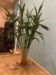 -香秀空间科技抗衰·美容中心