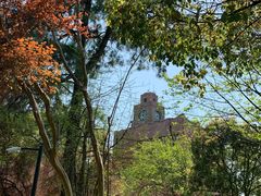 -之江大学-旧址