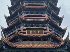 -铁山坪森林公园