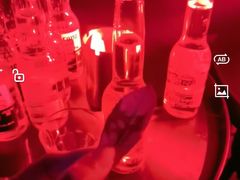 -Orangutan Bunker猩猩地堡酒吧(兰桂坊店)