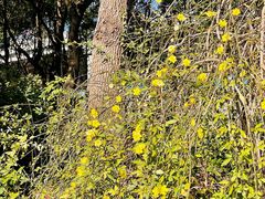 -金桥现代产业园区-停车场