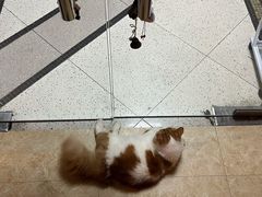 -逃脱反斗城沉浸剧情密室(北京路店)