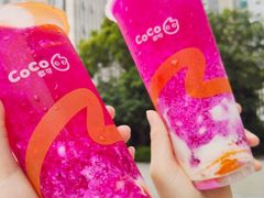 -CoCo都可(高新新力店)