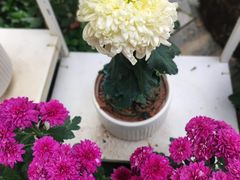 -中山公园